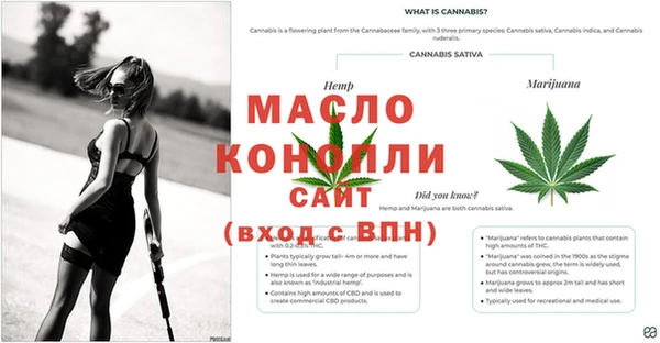 гашишное масло Вяземский