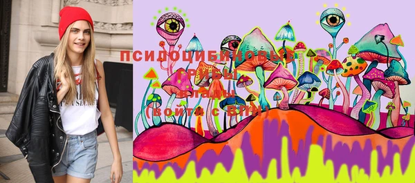 mix Вязьма