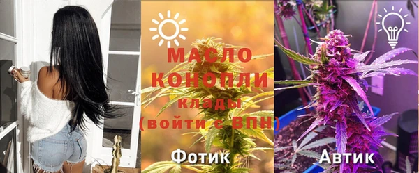гашик Володарск