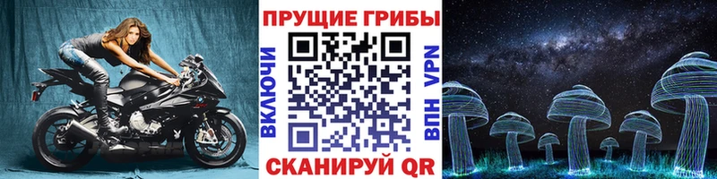Псилоцибиновые грибы Psilocybine cubensis где купить наркоту Ишимбай